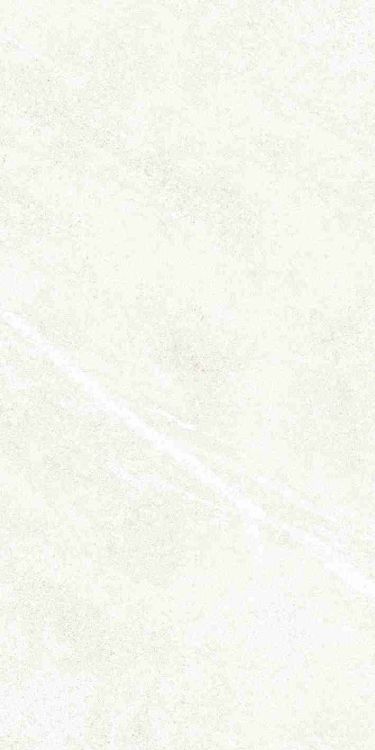 Dhara White Matte 12 x 24